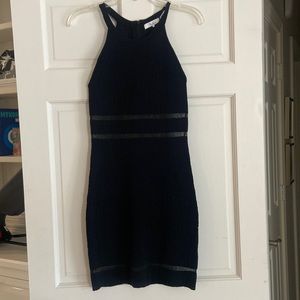 Parker bodycon dress